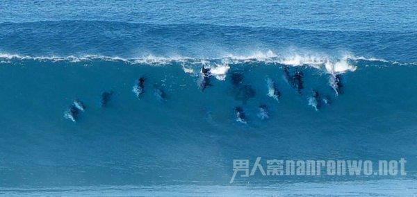 脑洞小老弟无实名认证